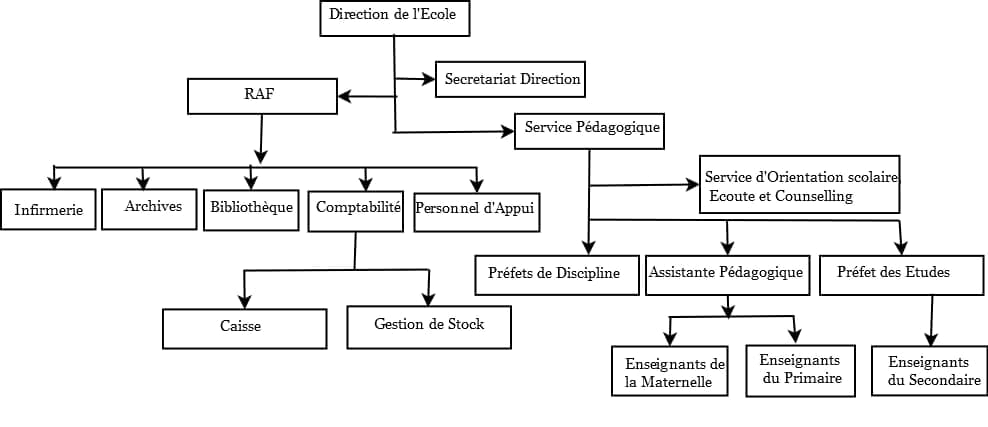 Organigramme de l'E.I.B